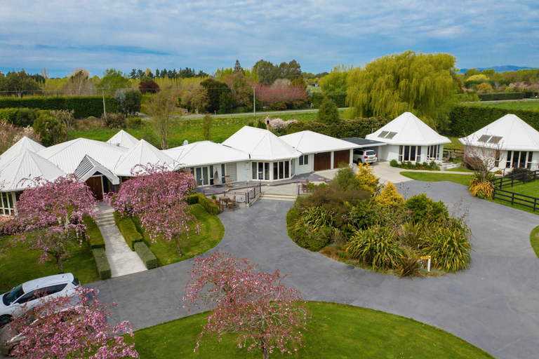 From Christchurch: Alpaca Farm Tour with Feeding and Guide