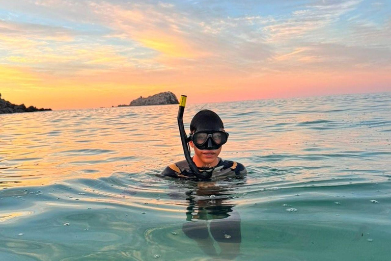 La Paz: Espíritu Santo Sea Lion Snorkel with Starlink Wi-Fi Without Pick Up and Drop Off