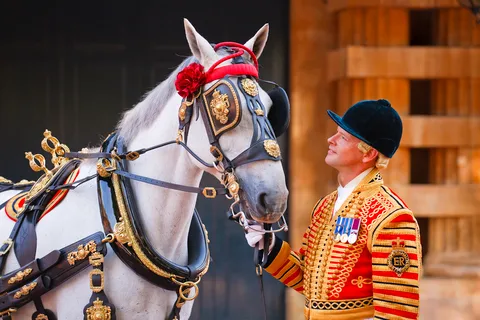 Buckinghamin palatsi: Buckinghamingham Palace: The Royal Mews Pääsylippu