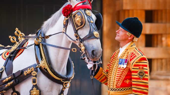buckingham palace the royal mews entrance ticket