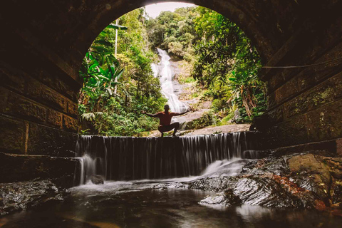 Nature's Marvels: Jardim Botânico & Tijuca Forest in Rio