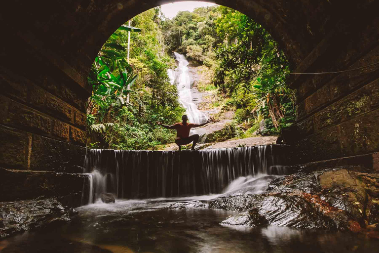 Nature&#039;s Marvels: Jardim Botânico &amp; Tijuca Forest in Rio