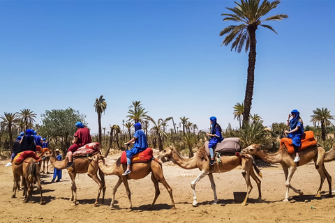 Marrakech : balade en chameau à la palmeraieMarrakech : balade en chameau de 3 h à la palmeraie