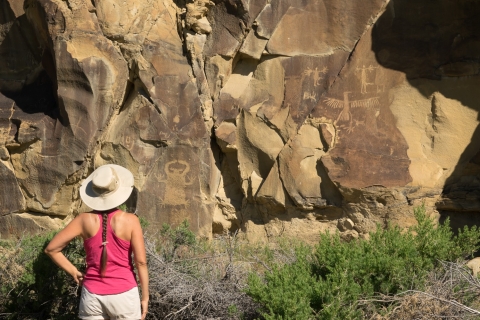 Jackson: Grand Teton, Bighorn Sheep et Petroglyphs Tour