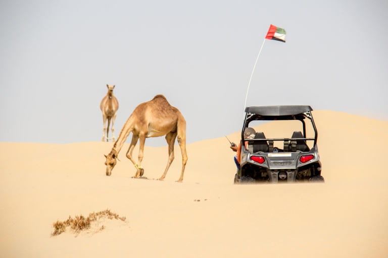 Dubai: Dünen-Buggy-Safari mit Abholung und RücktransferDünen-Buggy-Safari: 2 Personen pro Buggy ohne Barbecue