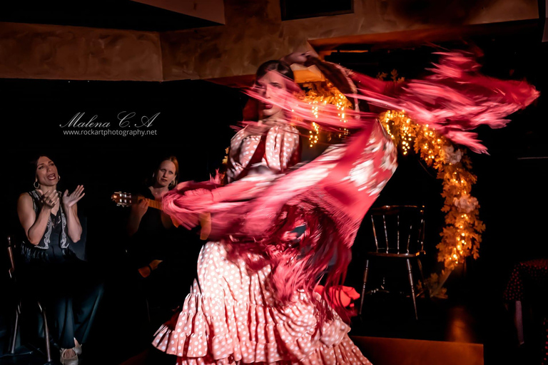 Valência Flamenco Show Tablao La Reina