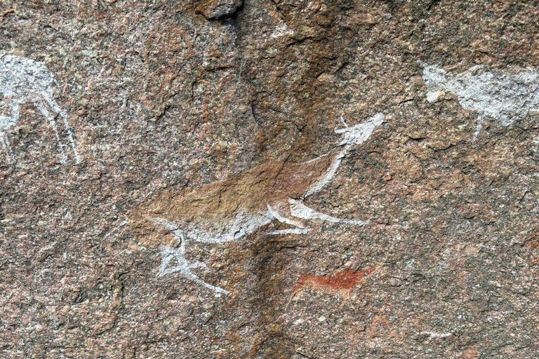 Maputo: Mkhuzweni Rock Art Site Day Tour