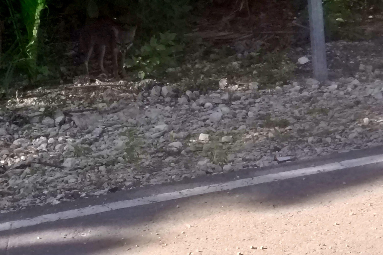 Bacalar: Ichkabal mayan temples & boat tour. Ichkabal only mayan temples guided tour.