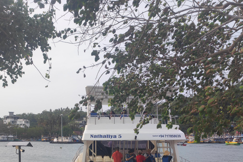 Mirissa: tour in barca con osservazione balene al tramonto e musica