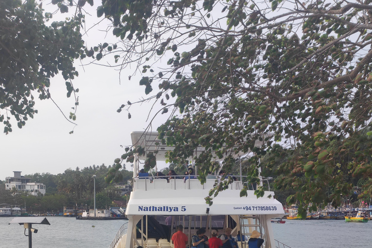 Mirissa: tour in barca con osservazione balene al tramonto e musica