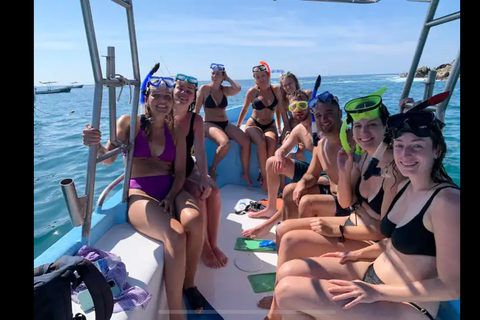 Puerto Escondido: Bootstour zu Delfinen und MeerestierenPrivate Tour