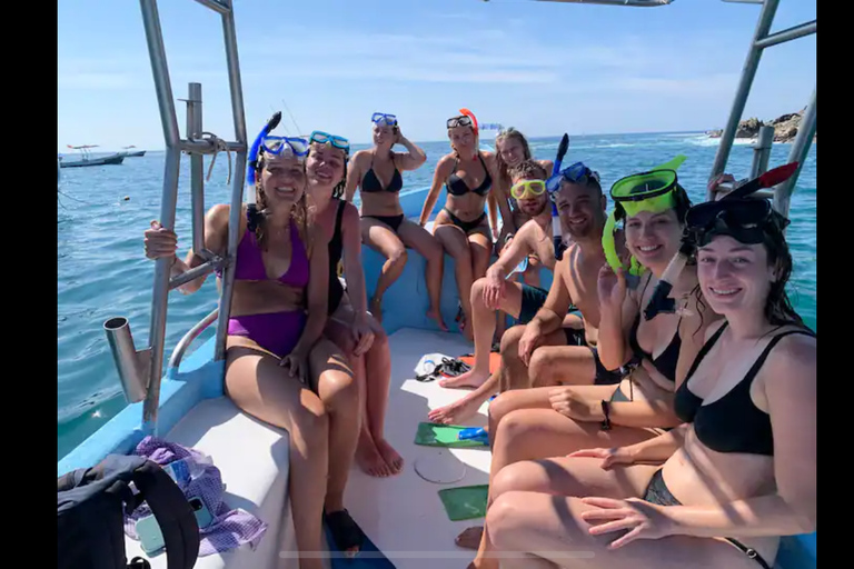 Puerto Escondido: Bootstour zu Delfinen und MeerestierenPrivate Tour