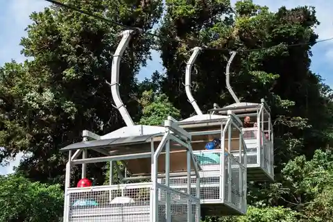 Monteverde: TreeTram linbana och vandringsled i molnskogen