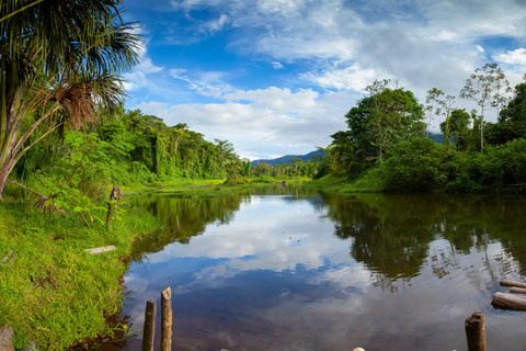 From Cusco: 3-Day Manu Amazon Jungle Expedition & Photos