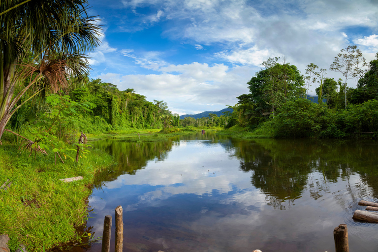 From Cusco: 3-Day Manu Amazon Jungle Expedition & Photos