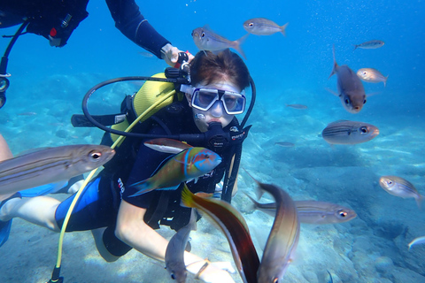 Alanya: PADI Discover Dive & Certified Training Options First Time Diving Option