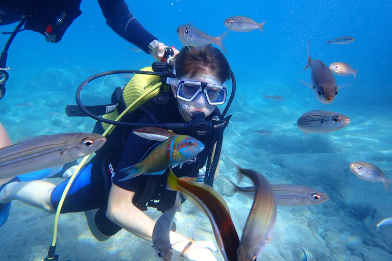 Alanya: PADI Discover Dive & Certified Training Options First Time Diving Option