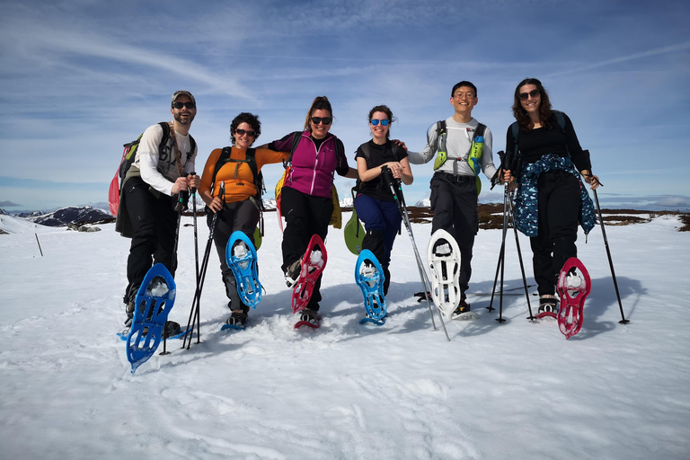 Madrid: Snowshoe tour