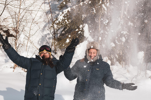 Fairbanks: Private Mush on the Historic Yukon Quest Trail