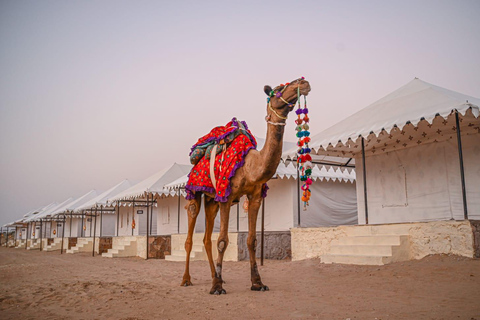 Da Jodhpur: Tour di 4 giorni nel deserto di Jaisalmer e Khuri