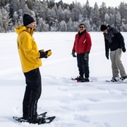 Luleå: Snowshoe Hiking in Pristine Nature