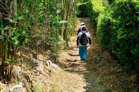 Medellín: tour di un giorno del Tunel de la Quiebra, della ferrovia e delle cascateMedellín: Tour di un giorno del Tunel de la Quiebra, della ferrovia e delle cascate