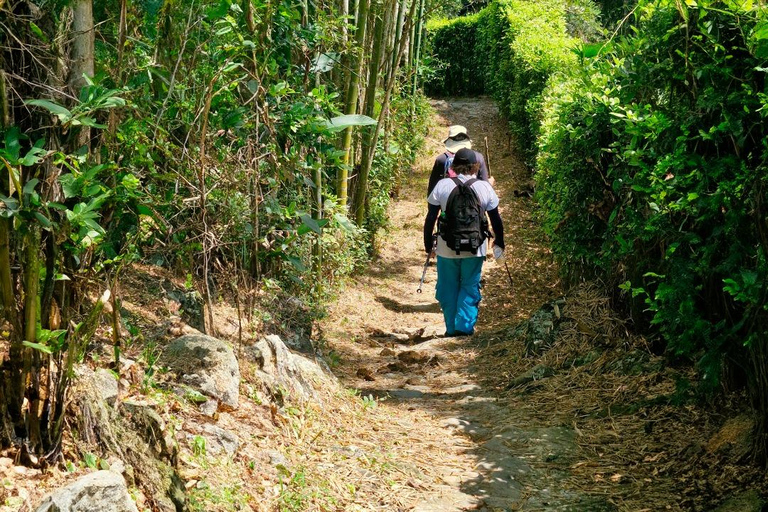 Medellín: tour di un giorno del Tunel de la Quiebra, della ferrovia e delle cascateMedellín: Tour di un giorno del Tunel de la Quiebra, della ferrovia e delle cascate