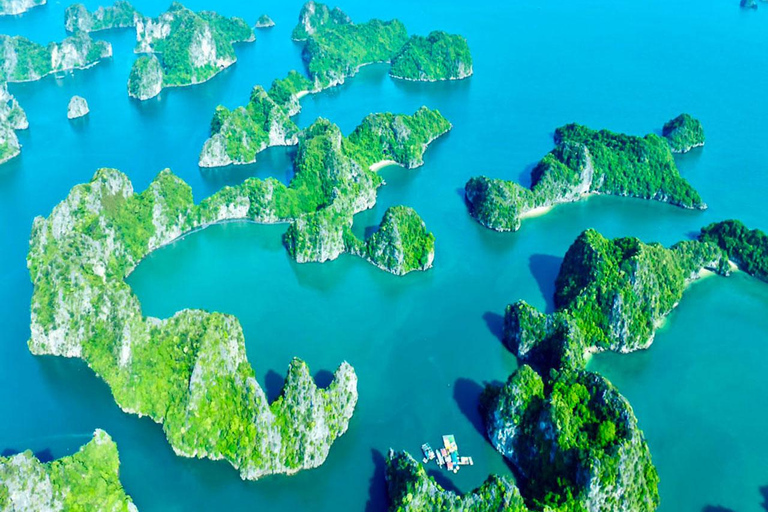 Hanoi: Aurora Halong Day Cruise - Lunch, Kayak, Swim, Cave from Halong: Cruise with Buffet, Kayaking (No transfer)