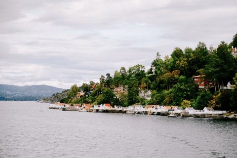 Oslo : Croisière touristique dans le fjord d'Oslo en bateau électrique