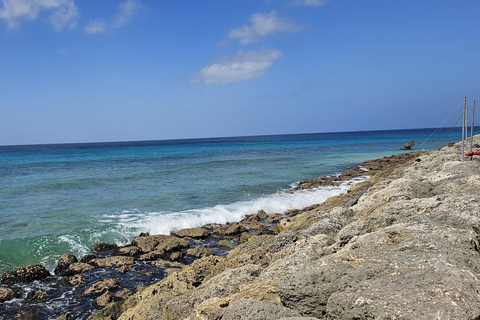 Barbados: Private Scenic Guided Tour