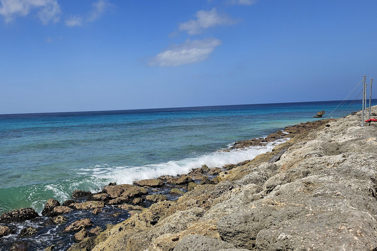 Barbados: Tour guiado panorâmico particular