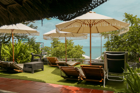 Spend the day at Rosario Islands, Rosario Beach Club + lunch + snorkeling Day trip to Rosario Islands, Rosario Beach Club + lunch + snorkeling