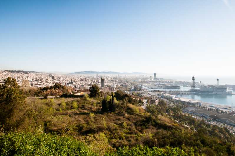 Acceso rápido: tour de un día Sagrada Familia y Barcelona