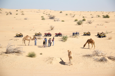 Dubai: woestijnsafari op quad (ATV) in de ochtend