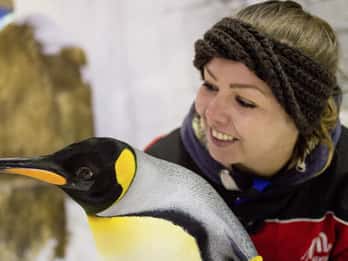 Dubai: Tickets für die Ski Dubai - Pinguine hautnah erleben Dubai: Tickets für die Ski Dubai - Pinguine hautnah erleben