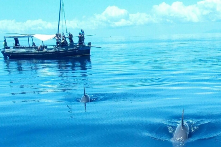 Île de Wasini : Observation des dauphins et plongée en apnée à Kisite MarineExcursion dans le parc marin de Kisite Mpunguti et visite de l'île de Wasini