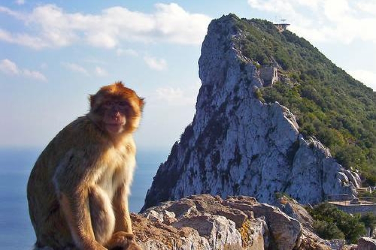 Van Sevilla: Gibraltar Sightseeing Tour