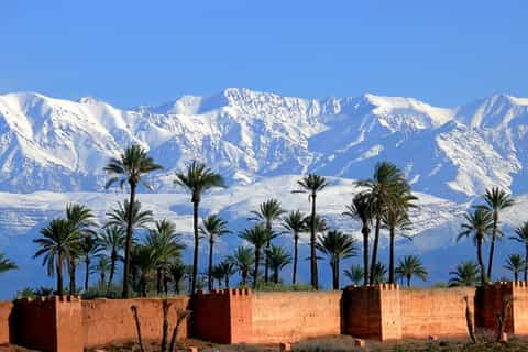 Casablanca to Marrakech Day Trip with Lunch and Camel Ride