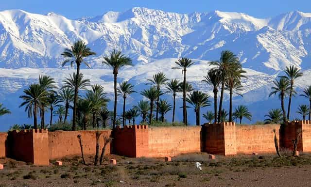 casablanca a marrakech 1 día de paseo en camello y almuerzo