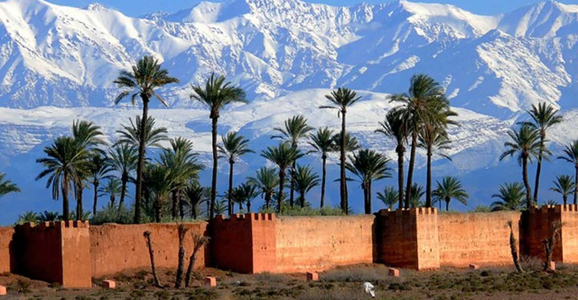 Casablanca to Marrakech Day Trip with Lunch and Camel Ride
