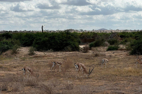 Mombasa/Diani: 2-Day Tsavo East Safari with Meals Private day tour to Tsavo East National Park - VAN