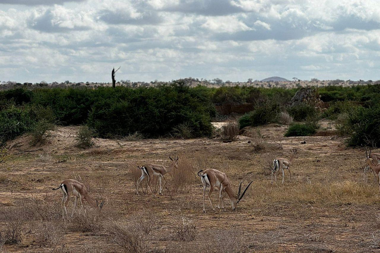 Mombasa/Diani: 2-Day Tsavo East Safari with Meals Private day tour to Tsavo East National Park - VAN