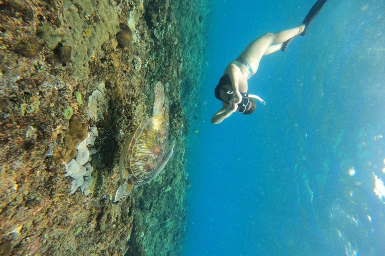 Nusa Penida Island: Manta Point Snorkeling Tour by Boat Private Tour for up to 24 people