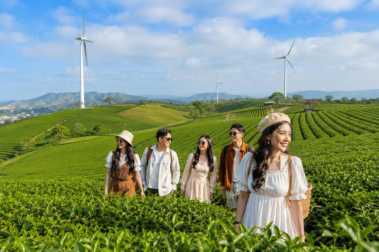 Da Lat: Clouds at Sunrise Tour, Tea Hill, & Strawberry Farm