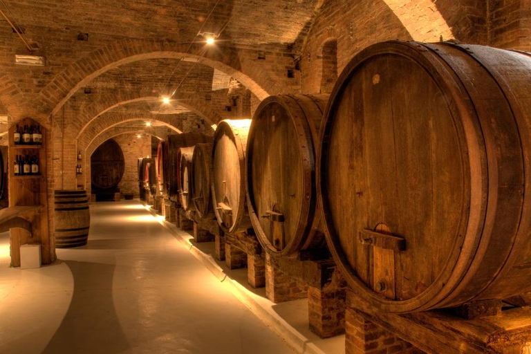 Bella Toscana: San Gimignano and two wineries from Livorno