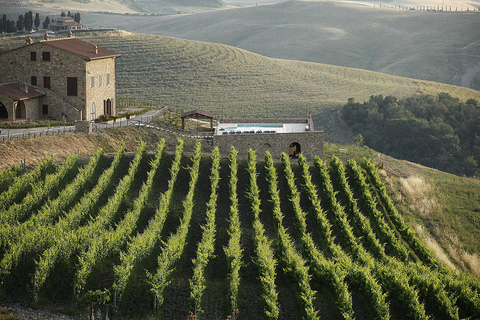 Bella Toscana: San Gimignano and two wineries from Livorno
