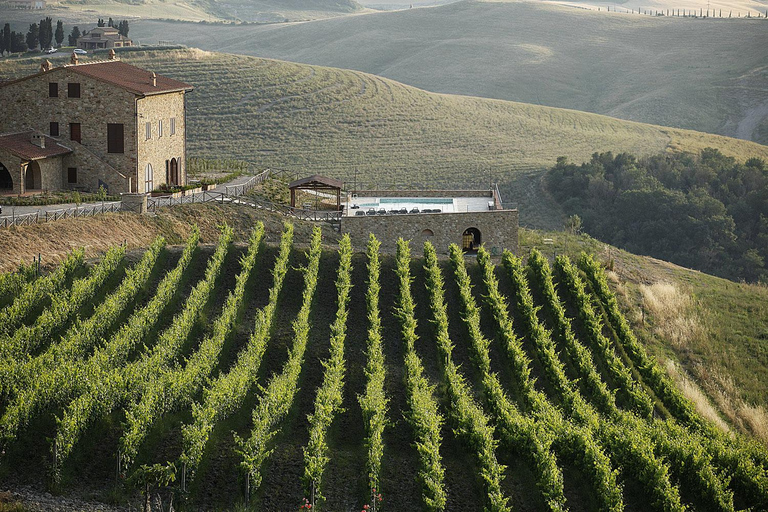 Bella Toscana: San Gimignano and two wineries from Livorno