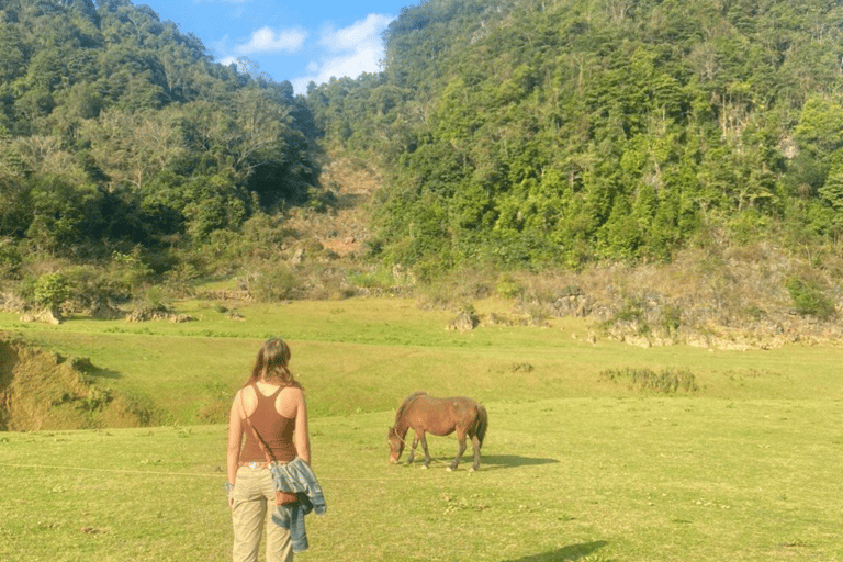 Z Hanoi: 3-dniowa wycieczka motocyklowa Easy Rider po Cao Bang LoopWycieczka grupowa z samodzielną jazdą