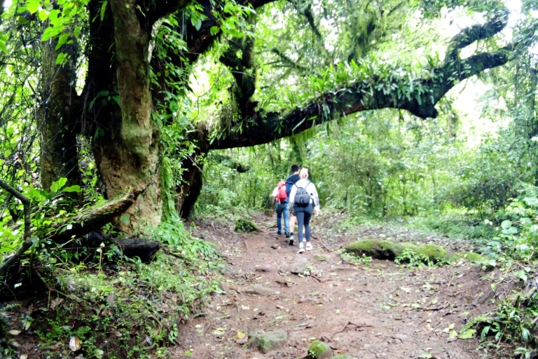 Day trip from Moshi to Mandara Hut Kilimanjaro National Park