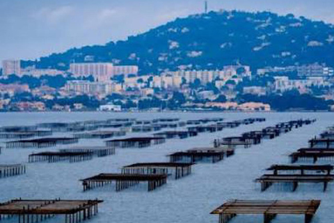 Sète: Discover the Thau basin and its beach by boat without a license